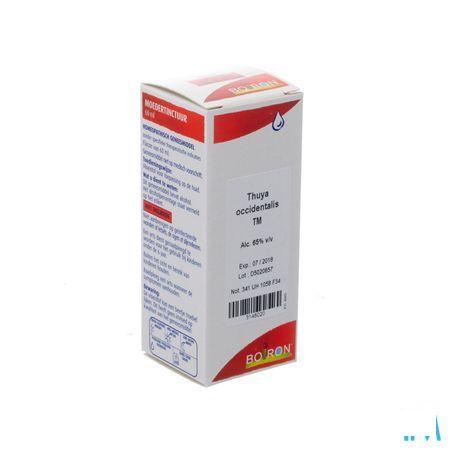 Thuya Occidentalis Tm 60 ml  -  Boiron