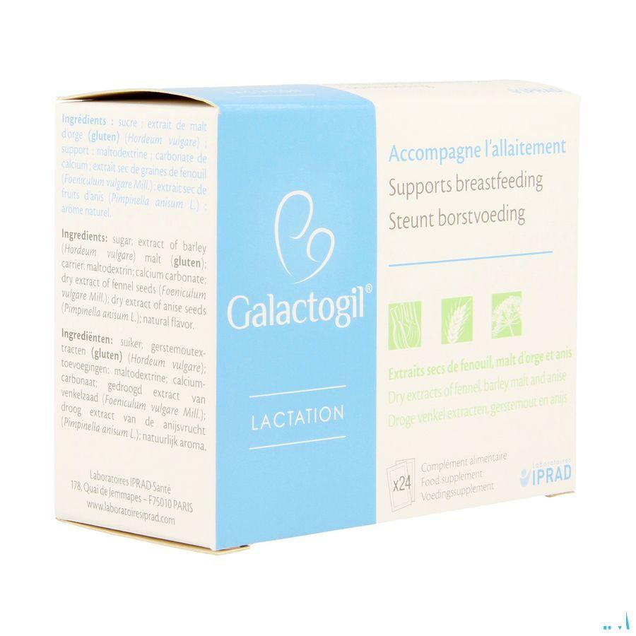 Galactogil Lactation Poudre Sachets 24