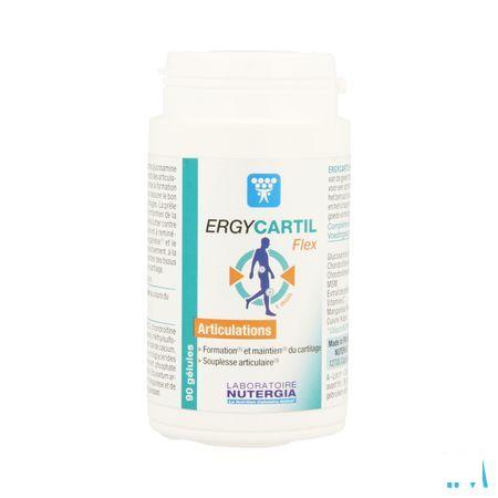Ergycartil Flex Capsule 90  -  Lab. Nutergia