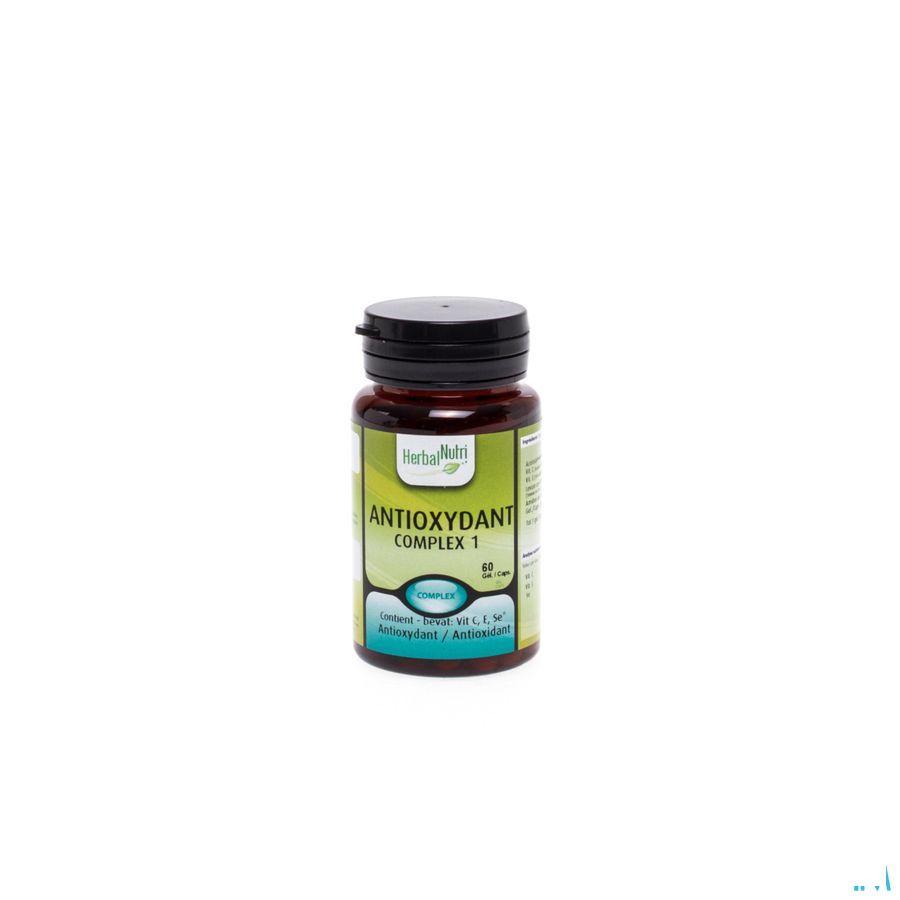 Herbalnutri Antioxydant Complex 01 Gel 60  -  Herbalgem