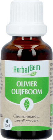 Herbalgem Olijfboom Bio 30 ml
