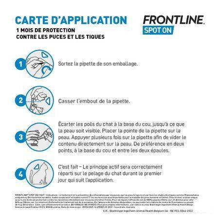 Frontline Spot On Kat 10% et 6x0,50 ml