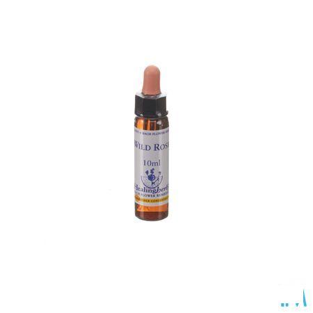 Healing Herbs Wild Rose 10 ml