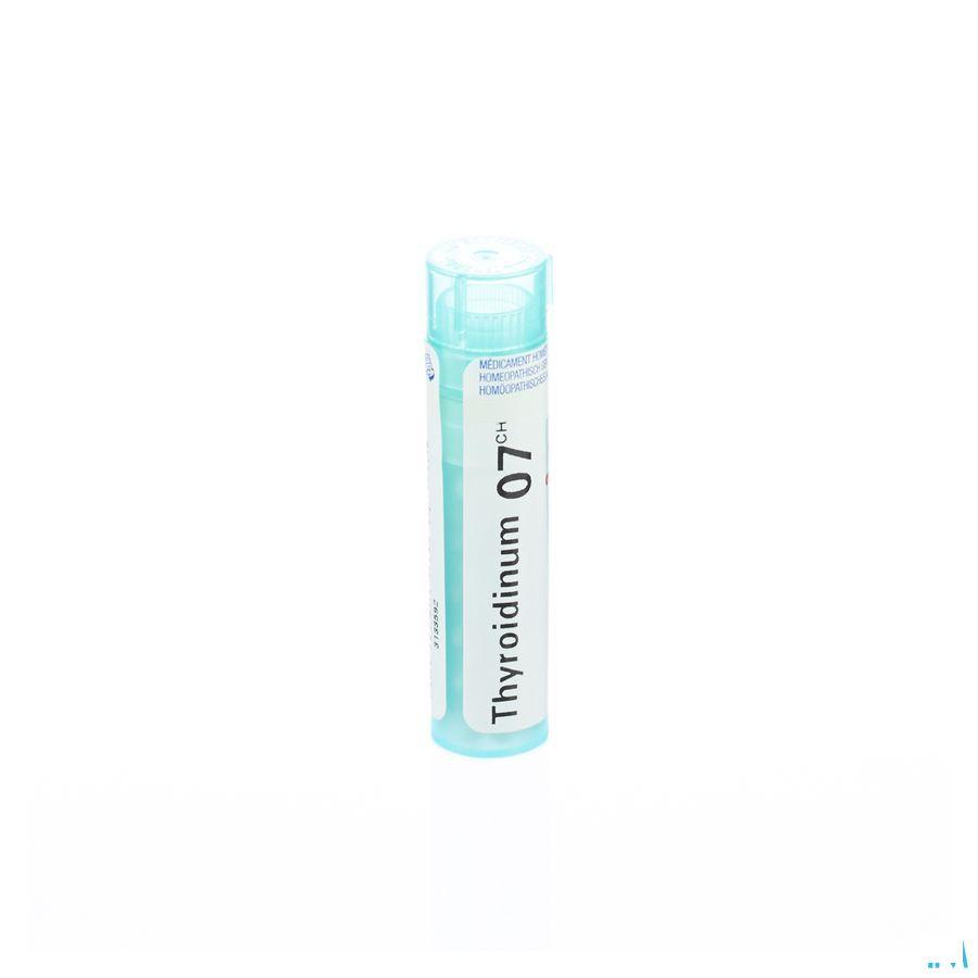 Thyroidinum 7CH Gr 4g  -  Boiron