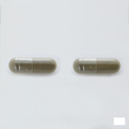 Arkocaps Ginkgo Biloba Plantaardig Duo 2X45  -  Arkopharma 