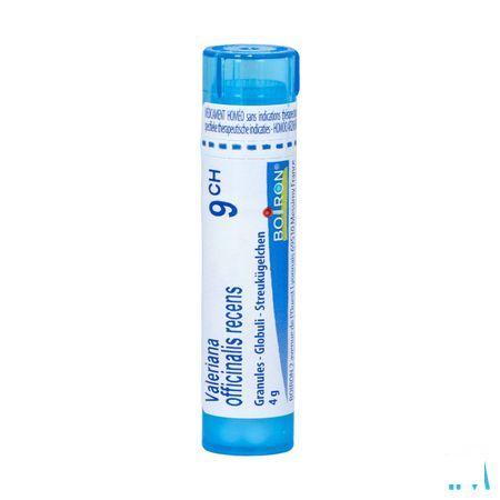 Valeriana Officinalis 9CH Gr 4g  -  Boiron