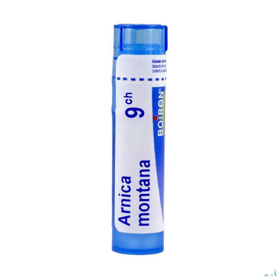 Arnica Montana 9CH Gr 4g  -  Boiron