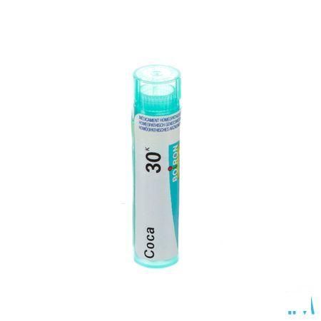 Coca 30K Gr 4g  -  Boiron