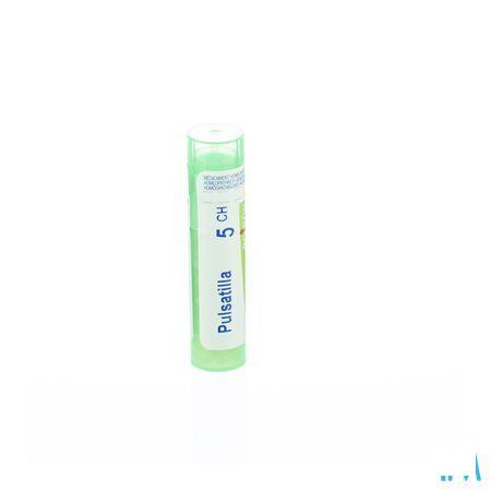 Pulsatilla 5CH Gr 4g  -  Boiron