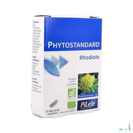 Phytostandard Rhodiola Capsule 20  -  Pileje