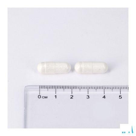 Lepivits B12 Forte Pot Caps 60  -  Lepivits