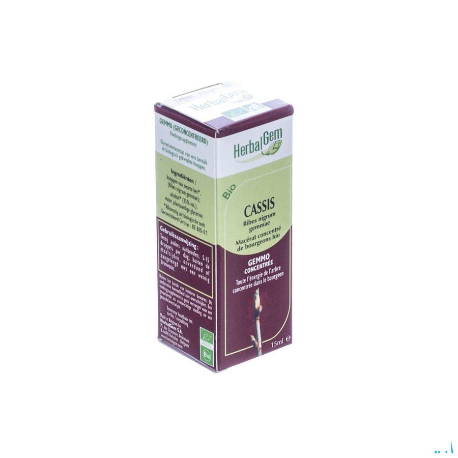 Herbalgem Zwarte Bes Maceraat 15 ml  -  Herbalgem