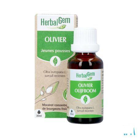 Herbalgem Olijfboom Bio 30 ml