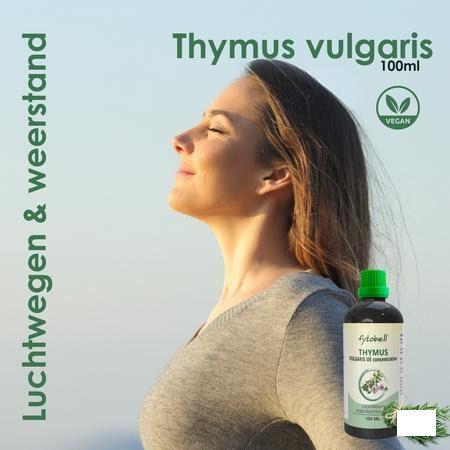 Fytobell Thymus Vulgaris Ue 100 ml