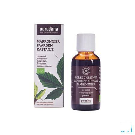 Purasana Puragemm Marronnier 50 ml