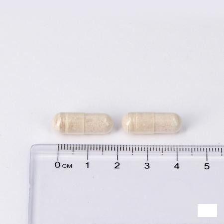 Lepivits Sterk Ijzer V-Caps 60  -  Lepivits