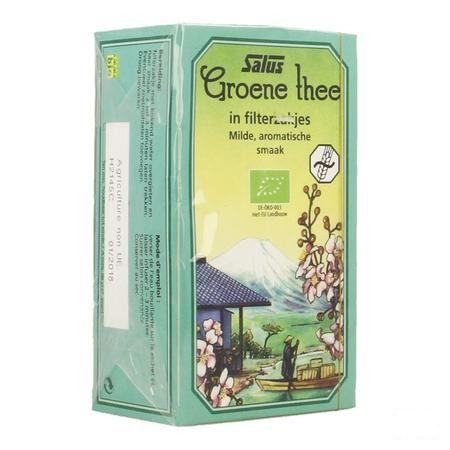 Salus Infusie Groene Thee Bio Builtje 15  -  Ocebio