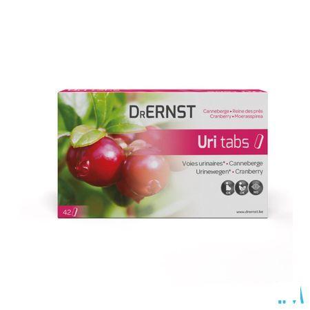 Dr Ernst Uri Tabletten 42 Tabl  -  Tilman