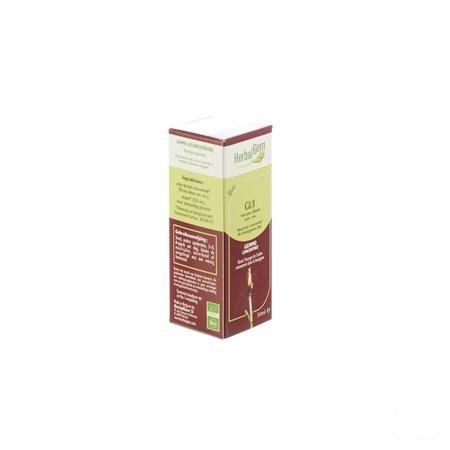 Herbalgem Gui Macerat 50 ml  -  Herbalgem