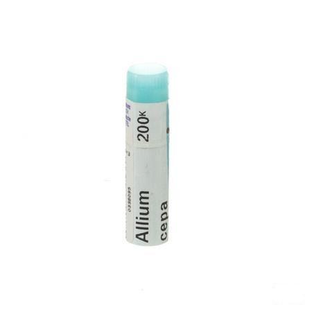 Allium Cepa 200K Gl  -  Boiron