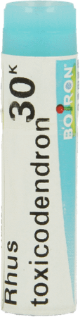 Rhus Toxicodendron 30K Gr 4g  -  Boiron