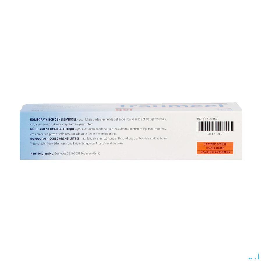 Traumeel Gel 100 gr  -  Heel