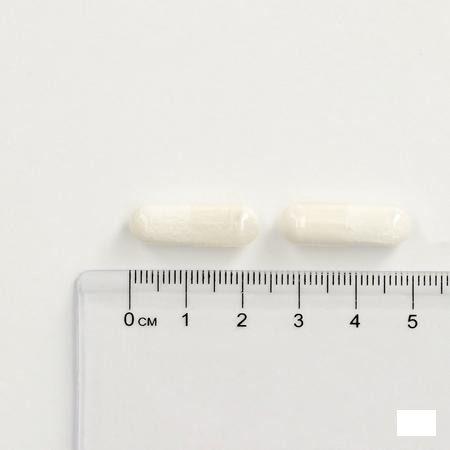 Promagnor Capsule 30x450 mg