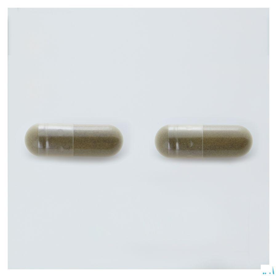 Arkocaps Ginkgo Biloba Plantaardig Duo 2X45  -  Arkopharma 