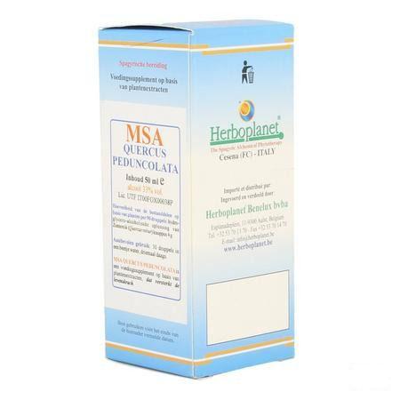 Quercus Peduncolata Msa Maceraat Druppels 50 ml  -  Herboplanet