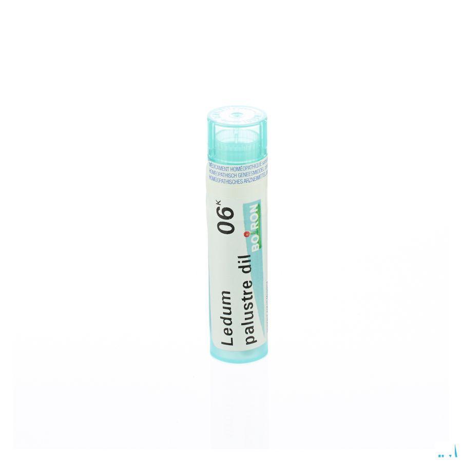Ledum Palustre 6k Gr 4g  -  Boiron