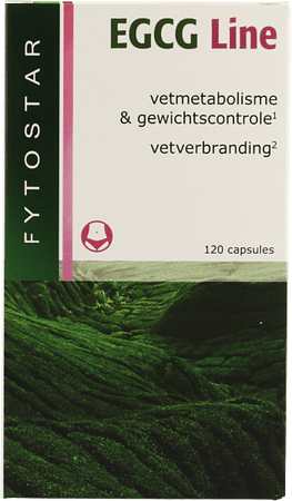 Fytostar Egcg Line Maxi Capsule 120  -  Ocebio