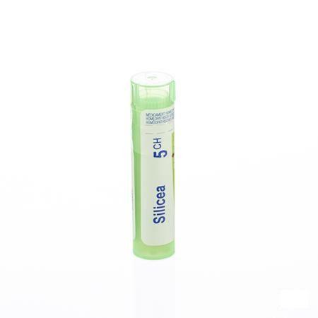 Silicea 5CH Gr 4g  -  Boiron