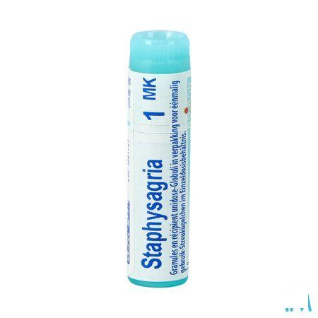 Staphysagria MK Gl  -  Boiron