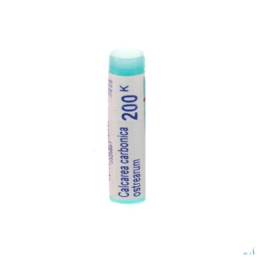 Calcarea Carbonica Ostrearum 200K Gl  -  Boiron