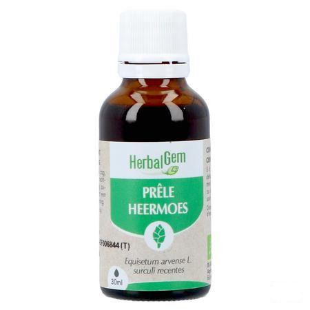 Herbalgem Heermoes Bio 30 ml