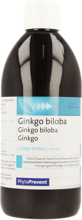 Phytostandard Gingko Vlb Extract 500 ml  -  Pileje