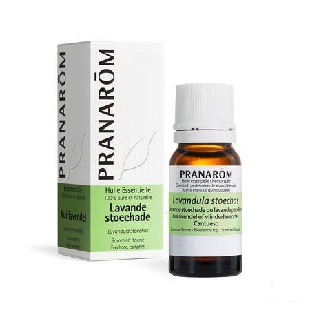 Lavendel Stoechas Essentiele Olie 10 ml  -  Pranarom