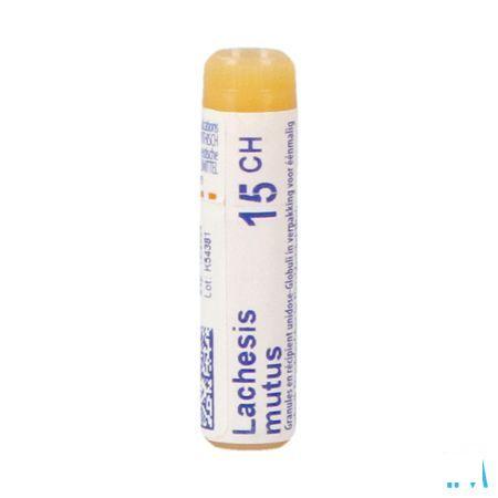 Lachesis Mutus 15CH Gl  -  Boiron