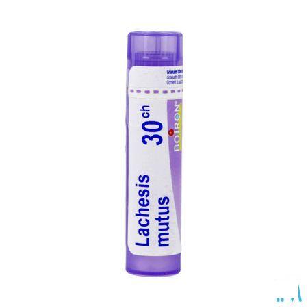 Lachesis Mutus 30CH Gr 4g  -  Boiron