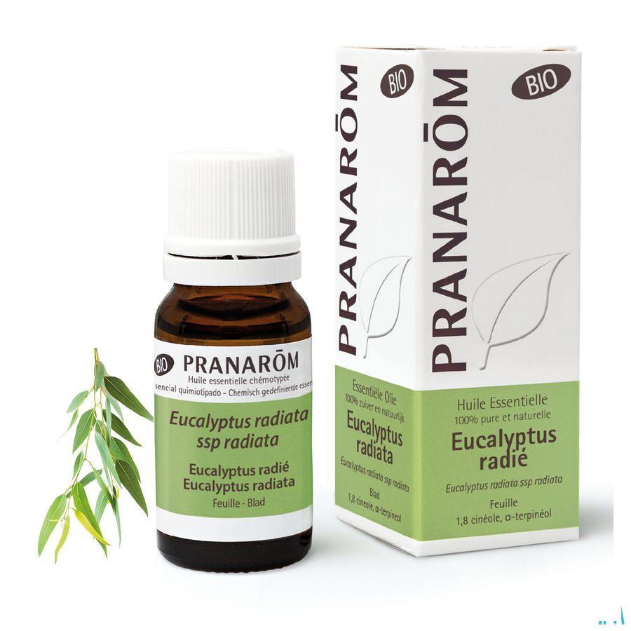 Eucalyptus Radie Bio Essentiele Olie 10 ml  -  Pranarom