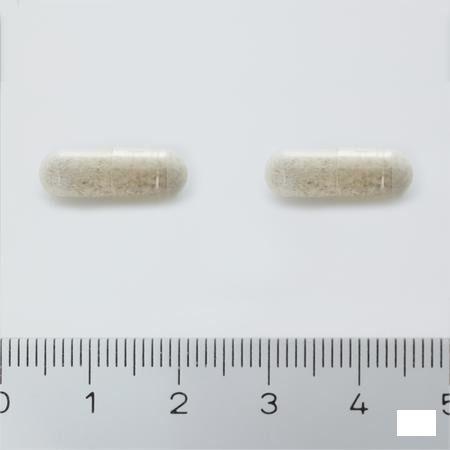 Antedia Gel 50  -  Will Pharma