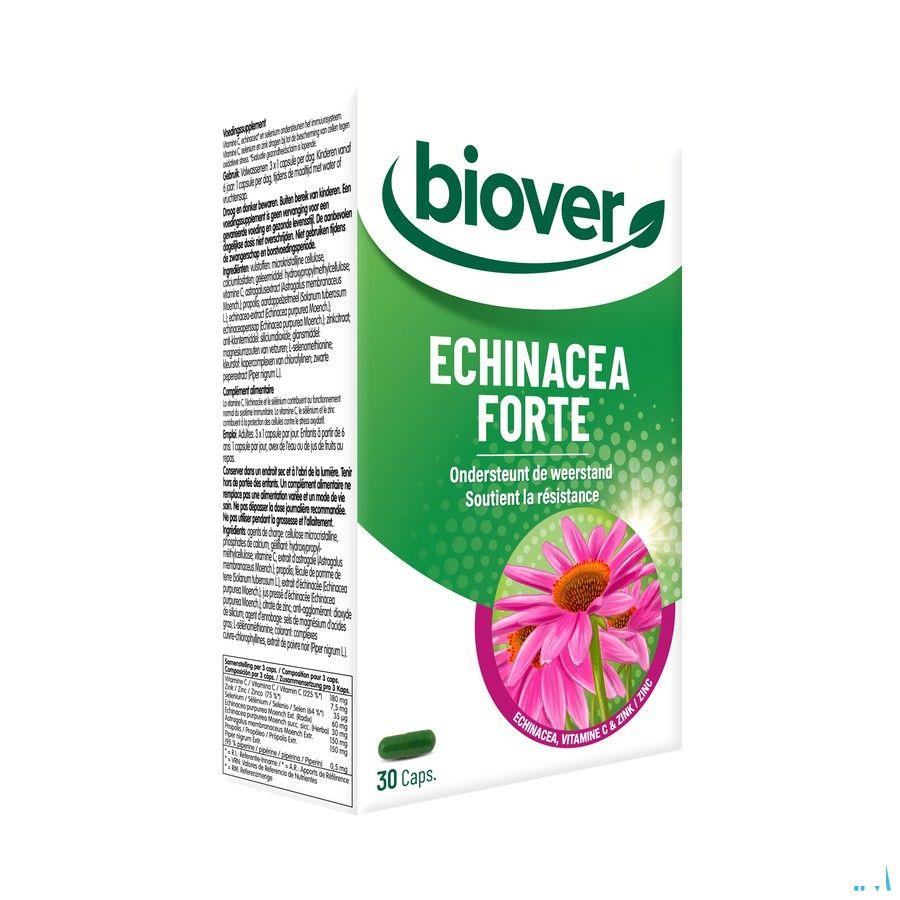 Biover Echinacea Forte Caps 30