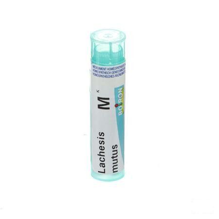 Lachesis Mutus MK Gr 4g  -  Boiron