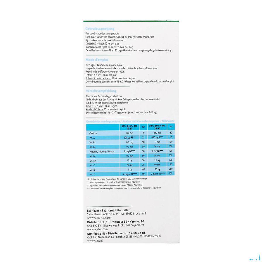 Floradix Kindervital Fruity 250 ml  -  Ocebio