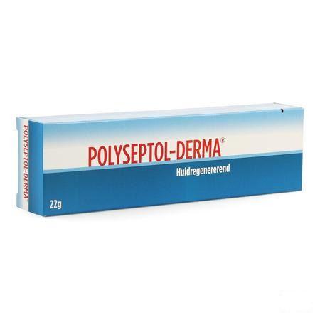 Polyseptol Derma Zalf Tube 22 gr 0070177