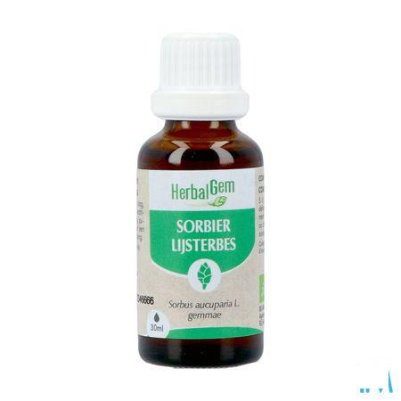 Herbalgem Lijsterbes Bio 30 ml