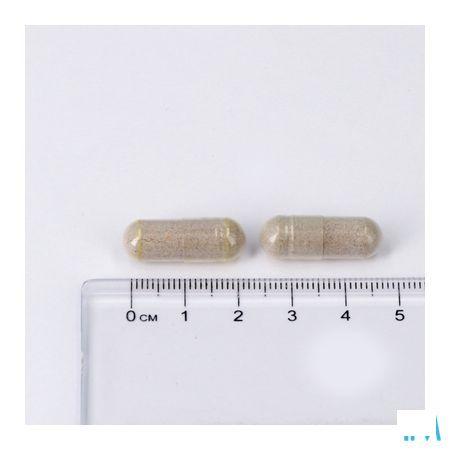 Lepivits Glutappin Pot Caps 90 Nf  -  Lepivits