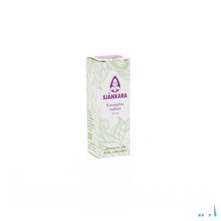Sjankara Eucalyptus Radiata Bio Essentiele Olie 11 ml