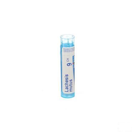 Lachesis Mutus 9CH Gr 4g  -  Boiron