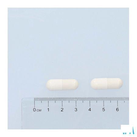 Pure Sporebiotica + V-Capsule 30  -  Solidpharma